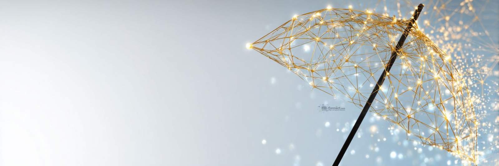 Versicherungs- und Haftungsnachweis (Zugangskontrollsysteme)