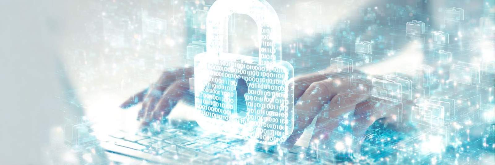 Software-Management-Erklärung – Zutrittskontrollsysteme (Entwurf der Bieterunterlage)